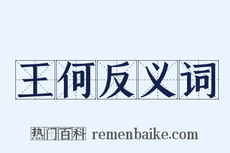 王何反义词是什么意思的图片